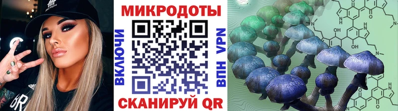 мега ссылка  Полтавская  Псилоцибиновые грибы Cubensis  наркошоп 